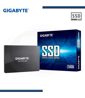 SSD 256GB M.2 2280 PCIE X2 NVME GIGABYTE GP-GSM2NE8256GNTD